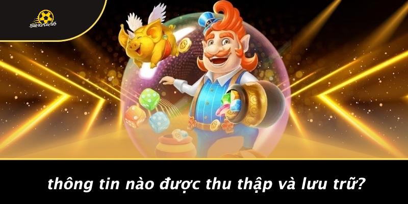Thông Tin Nào Được Thu Thập Và Lưu Trữ?